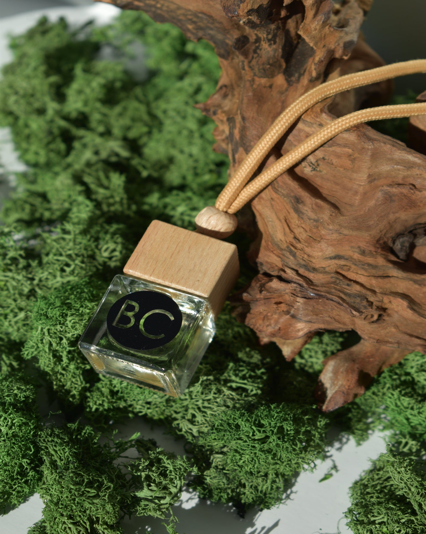 Premium Aromatherapy Car Diffuser